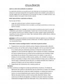 Informe de celulósicos ¿Qué es y cómo está constituido un celulósico?