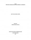 ESTRUCTURA ORGANIZACIONAL DE DOS EMPRESAS COLOMBIANAS