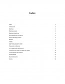 Ensayo (Fortalezas y Debilidades) Historia de Mangy’s Store