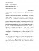 JUICIO ORDINARIO CIVIL PLENARIA DE POSESIÓN Y PROPIEDAD