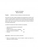 Mezcla de marketing. Guía de entrevista