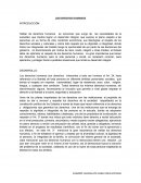 LOS DERECHOS HUMANOS INTRODUCCIÓN DESARROLLO