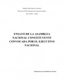 ENSAYO DE LA ASAMBLEA NACIONAL CONSTITUYENTE CONVOCADA POR EL EJECUTIVO NACIONAL