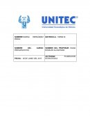 Presupuestos Calidad en la elaboración (detalle).