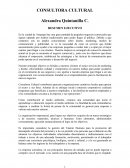 CONSULTORA CULTURAL. RESUMEN EJECUTIVO