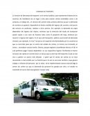 MODELO DE PROYECCION DEL USO DEL SUELO