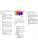 Asia es un continente inmenso que tiene una gran variedad de paisajes, culturas y pueblos