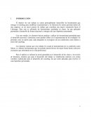 El diagnóstico y el perfil resultante preparados por MAC