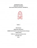 Metapan Matemáticas