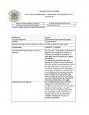 Plantilla de caracterización de una roca