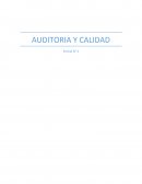 Auditoria y Calidad
