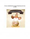 Proceso Administrativo Granjas Productoras de Carne de Pollo
