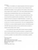 Hotel Director Vitacura