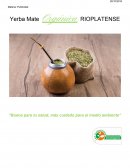 Brief publicitario Hnos Salteños S.A