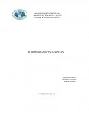 EL APRENDIZAJE Y SUS NIVELES
