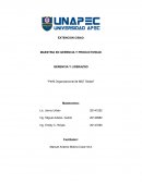 GERENCIA Y LIDERAZGO “Perfil Organizacional de M&T Global”