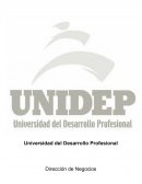 Dirección de Negocios Estadistica Aplicada