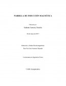 PARRILLA DE INDUCCIÓN MAGNÉTICA