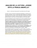 ANALISIS DE LA LECTURA: ¿DONDE ESTÁ LA FRANJA AMARILLA?