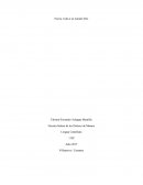 Nueva visita a un mundo feliz