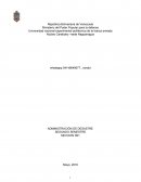 Plan estratégico que permita optimizar la disposición de los desechos sólidos