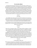 Capitulo 6 Dos mercados edipicos