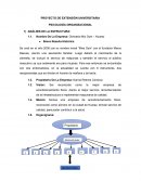 PROYECTO DE EXTENSIÓN UNIVERSITARIA PSICOLOGÍA ORGANIZACIONAL