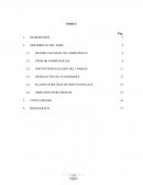 EL SISTEMA NACIONAL DE COMPETENCIAS