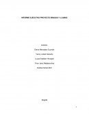 INFORME EJECUTIVO PROYECTO BRASAS Y LLAMAS