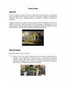 Techos Verdes ¿Qué son?