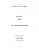 TAREA 1.2 Las Humanidades y sus ramificaciones