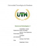 Evaluación de Factores internos (EFI)