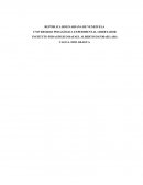 DESCRIPCIÓN DE LA INSTITUCIÓN Reseña Histórica del C.E.I.N. “Manuelita Sáenz