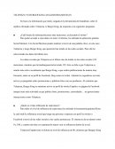 TELEPIZZA VS BURGER KING ANALISIS BRANDCHATS