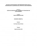 ESTUDIO DE ANTRAQUINONAS COMO MEDIADORAS REDOX PARA LA DEGRADACIÓN DE COLORANTES AZO A PARTIR DE LODOS ANAEROBIOS