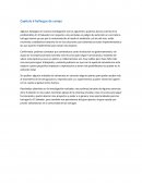 Capítulo 6 hallazgos de campo