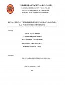 ZONAS URBANAS Y ESTABLECIMIENTOS NO ADAPTADOS PARA LAS PERSONAS DISCAPACITADAS