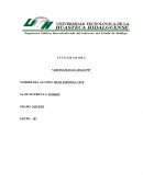 I N T E G R A D O R A “ARTESANIAS GUADALUPE”