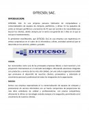Sistema de información de empresa DITECSOL SAC