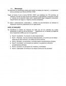 NIVEL DE MADUREZ FICHAS DE NO CONFORMIDADES Y OBSERVACIONES