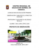 OBSERVACIÓN Y ANÁLISIS DE LA PRÁCTICA ESCOLAR