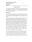 La indiferencia pura