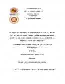 ANALISIS DEL PROCESO DE ENFERMERIA EN LOS PACIENTES CON NEUMONIA NOSOCOMIAL, EN TERAPIA INTENSVA DEL HOSPITAL DR. JESUS GILBERTO GOMEZ MAZA DURANTE EL PERIODO ABRIL 2017- JULIO 2017