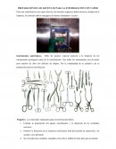 LA GRAN PREPARACIÓN DE LOS ARTÍCULOS PARA LA ESTE