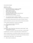 ESTACIONES DE TRABAJO DISEÑO DE LA TAREA Principios del diseño de tareas