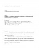 Planeacion estratégica de recursos humanos Actividad integradora 1