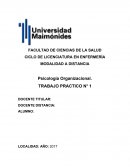 Psicología Organizacional. TRABAJO PRACTICO N° 1