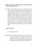 DETENCIÓN, SELECCIÓN E IDENTIFICACIÓN DE LAS OPORTUNIDADES QUE DAN ORIGEN AL PRODUCTO