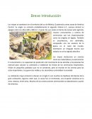 Los mayas se asentaron en el territorio del sur de México, Guatemala y otras zonas de América Central