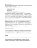 Sistema organizacional. La Estructura Organizacional